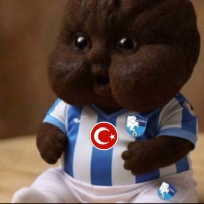 nobre🇽🇰🇹🇷's profile picture