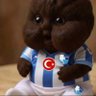nobre🇽🇰🇹🇷's profile picture