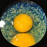 𝐇𝐚𝐧𝐞𝐞𝐧's profile picture
