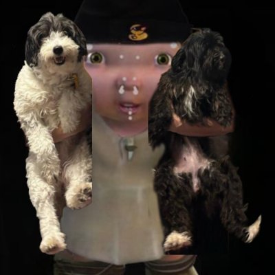 estegomanu's profile picture