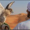 صوت الصحراء profil fotoğrafı