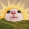 Profilbild von Padruigje 🐝