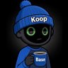 Profilbild von 𝗞𝗼𝗼𝗽.0x