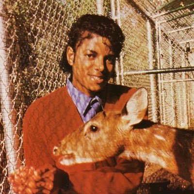 snoopychael's profile picture