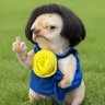 Profilbild von I'mm Nueng