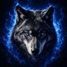 Фото профиля WOLF