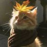 King Jaxxon Eros's profile picture