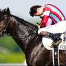 Profilbild von まるおか 🏇競馬独学