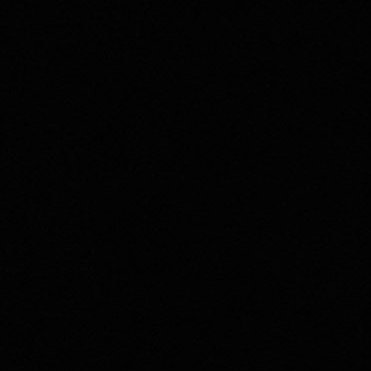 missxlice's profile picture