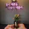 오멜디 的头像