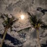 OX's profile picture