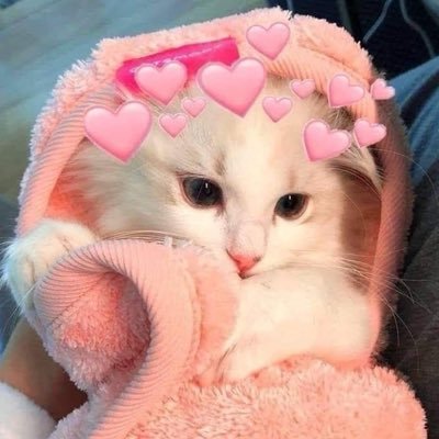 𝗝𝗲𝗷𝗲𝗲𝗠𝗧𝟵𝟯˚ ༘♡*.。's profile picture