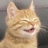 FLUSSMANE YES Kardlady Makeooooor-🏴☠️ profil fotoğrafı