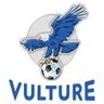 iptv_vultuer's profile picture