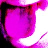 LUST/Wouldi profil fotoğrafı