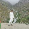 Muhammad wali Shinwari's profile picture