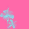 ffan²'s profile picture
