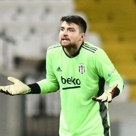 Beşiktaş Kartal's profile picture