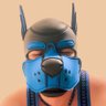 Pup Mooshu profil fotoğrafı