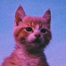 Gato Insane 的头像