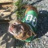 GoBirds2026!!!'s profile picture