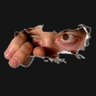 Kike José's profile picture