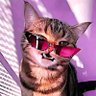 Kat Saint Lauren RANK $ no soundcloud's profile picture