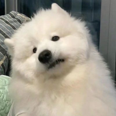 𝓐 🎀ྀི's profile picture