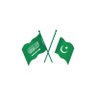 درویش 🇵🇸🇵🇰 的头像