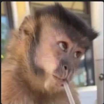 K🐒 (Ei segun Ari)'s profile picture