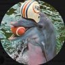 Obi's profile picture