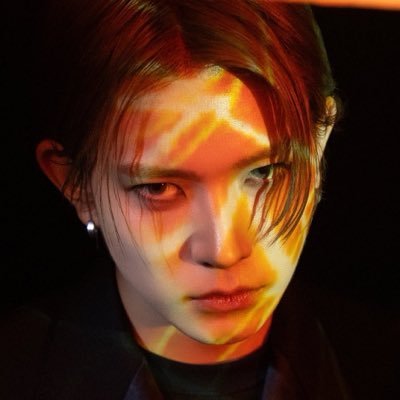 lheesoftie's profile picture