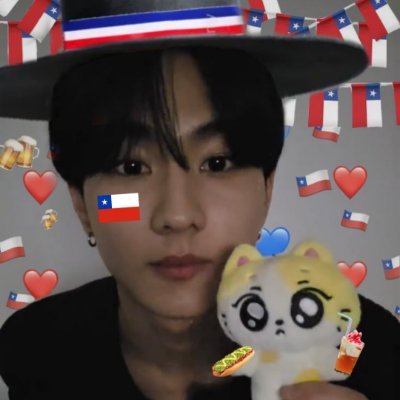 cat 🫰 100% chilena's profile picture