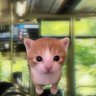 Profilbild von minus