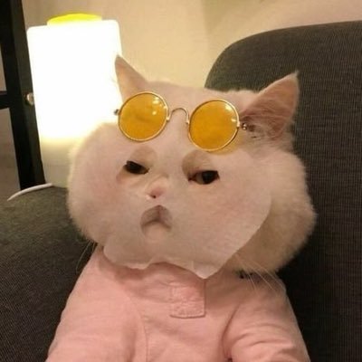 𝑐𝑛 ᴗ̈'s profile picture