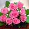 صدیق جان's profile picture