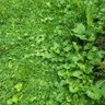 Фото профиля Paddity