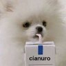 J0SUSIN's profile picture