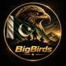 BigBirds 的头像