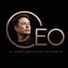 CEO Musk Hub's profile picture