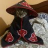 ghimigabola's profile picture