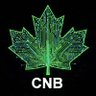 Canadian News Bites🍁's profile picture