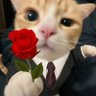 Reymond Costa's profile picture