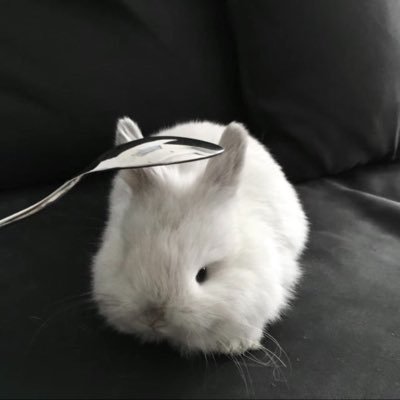 Tinaa7lv's profile picture