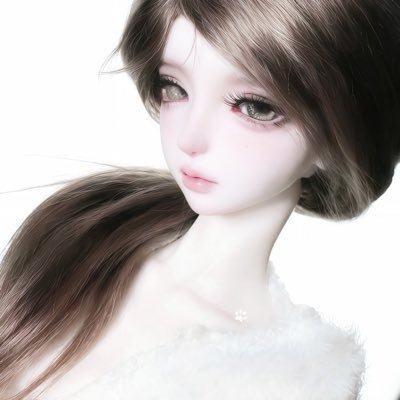 南星殿下's profile picture