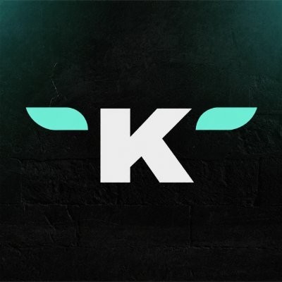 Kirgo.com's profile picture