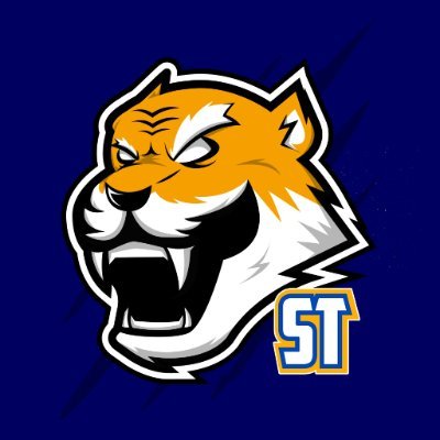 solotigres's profile picture