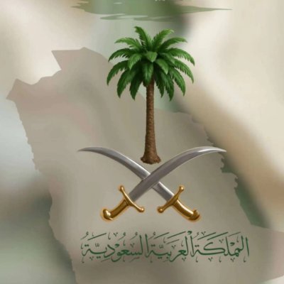 Ahmedallwan0's profile picture