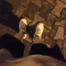 ayemgeçmişsken 的头像