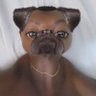 Mr.Stunt's profile picture